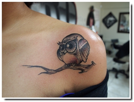 tatoo de hiboux