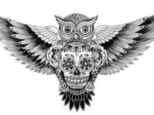 tatoo de hiboux