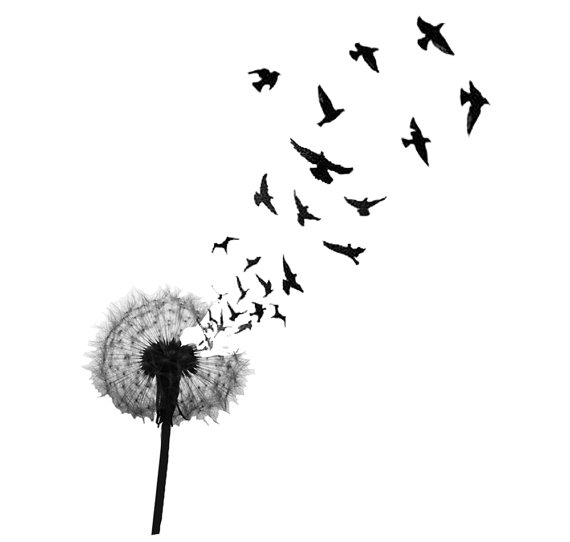 tatoo temporaire oiseaux