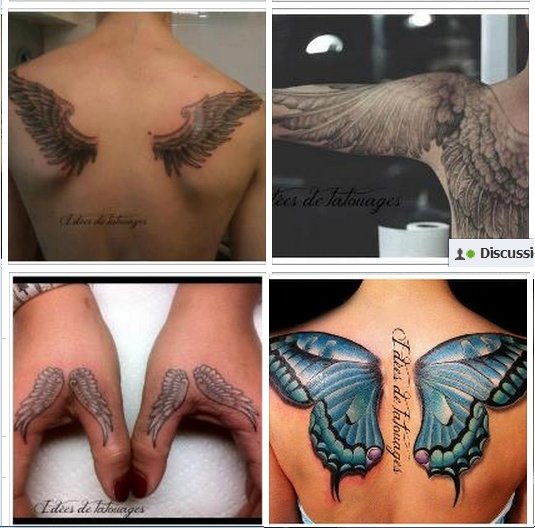tatouage aile omoplate