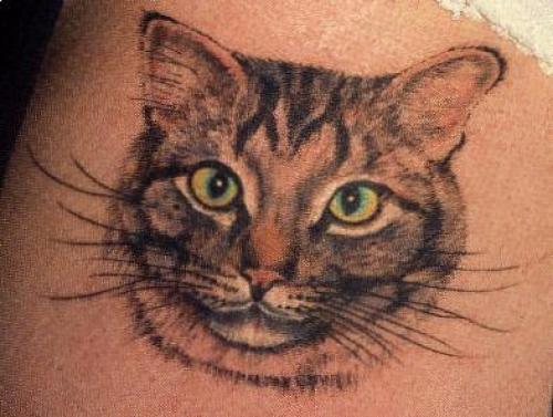 Tatouage animaux chat
