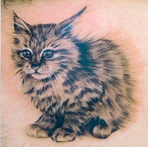 tatouage animaux chat
