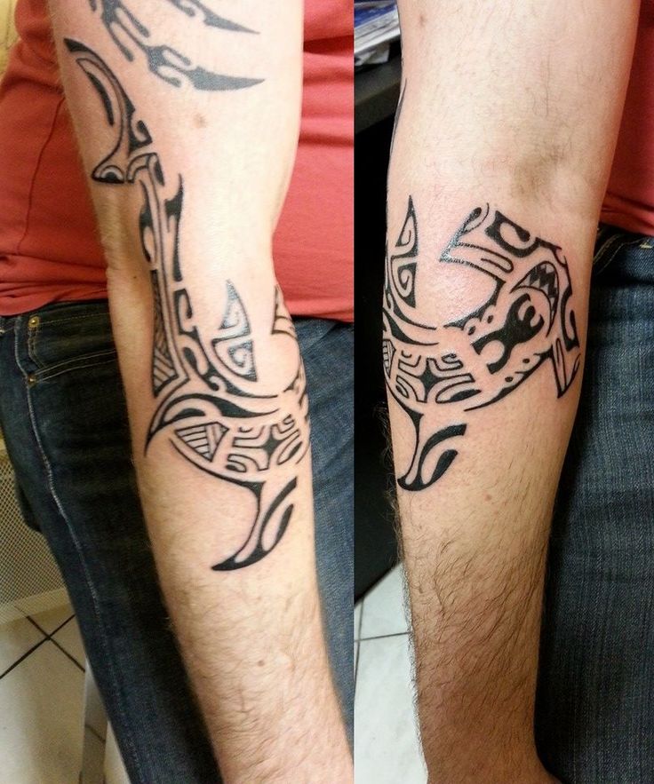 tatouage avant bras requin