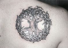 Tatouage celtique arbre de vie