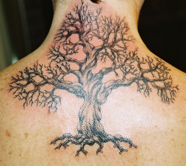 tatouage celtique arbre de vie