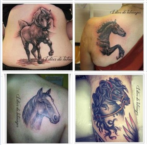 tatouage cheval omoplate