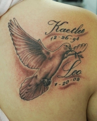 tatouage colombe omoplate