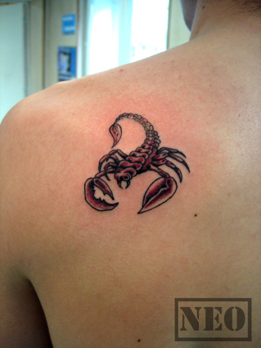 tatouage dauphin omoplate