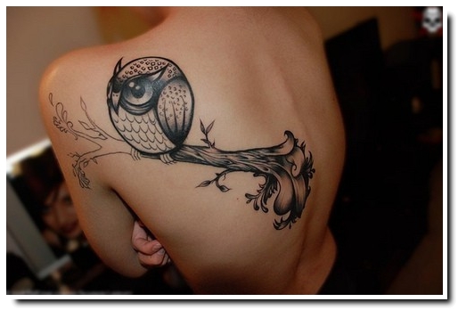 tatouage de hiboux