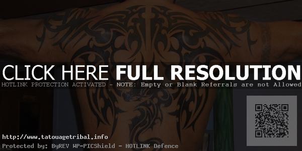 tatouage dos tribal