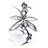 tatouage fleur de vanille dessin