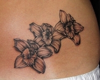 tatouage fleur de vanille dessin