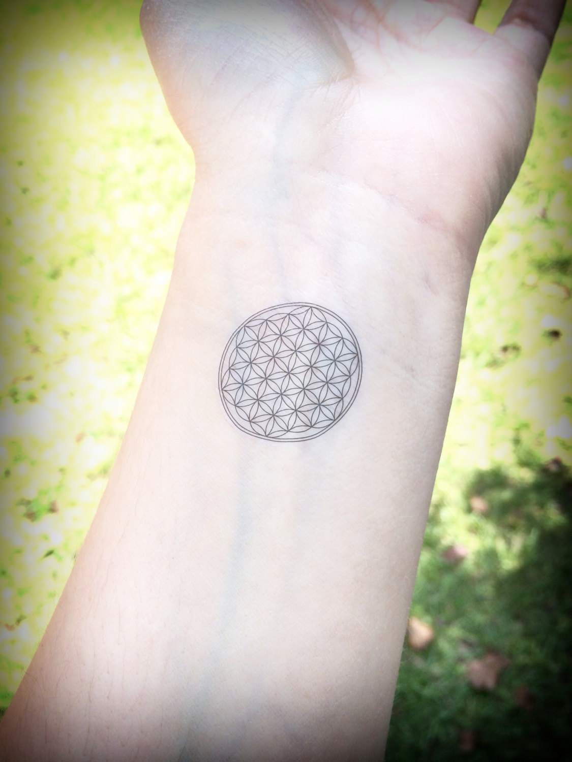 tatouage fleur de vie