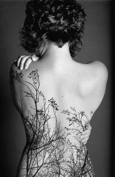 tatouage fleur grimpante dos