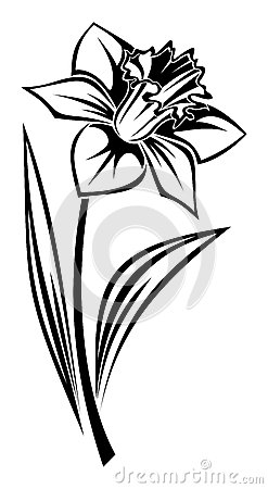 tatouage fleur jonquille