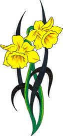 tatouage fleur jonquille