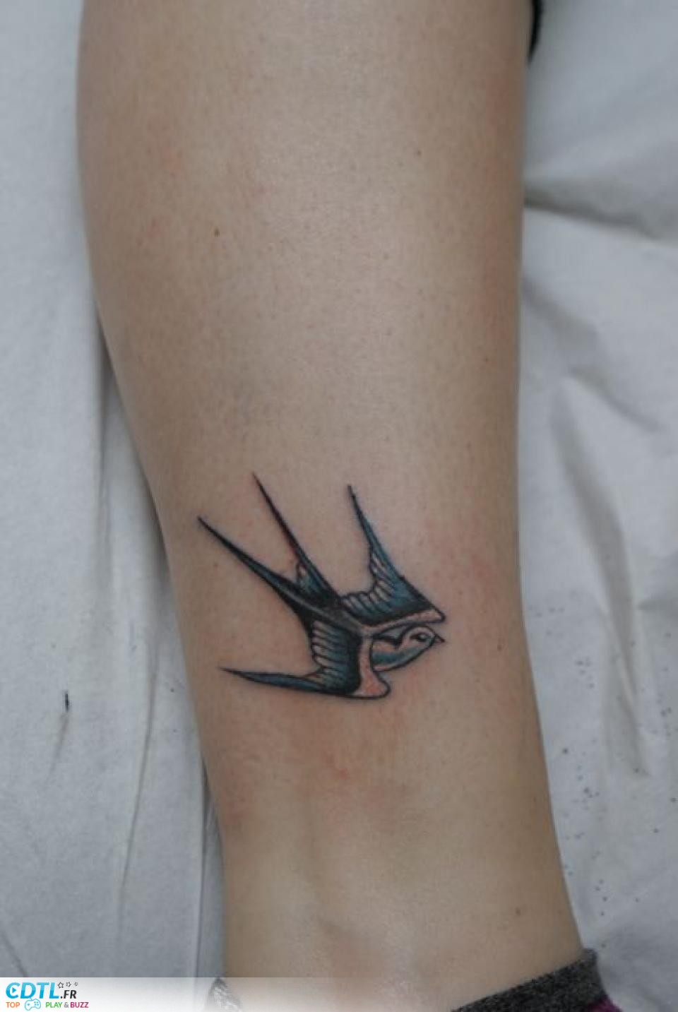 tatouage hirondelle bras
