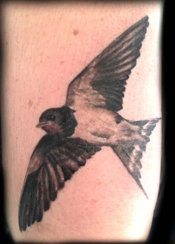 tatouage hirondelle réaliste