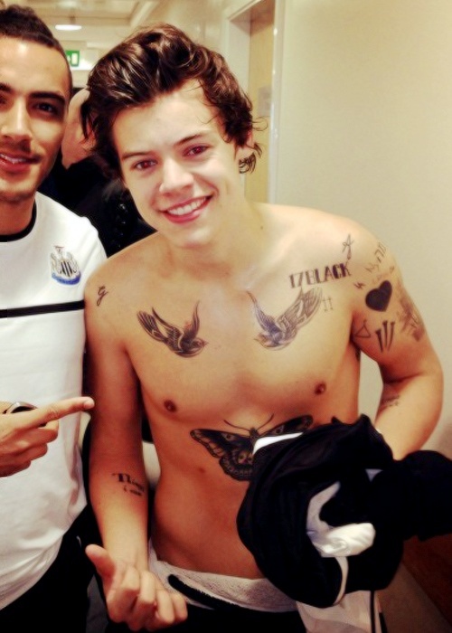 tatouage hirondelle torse
