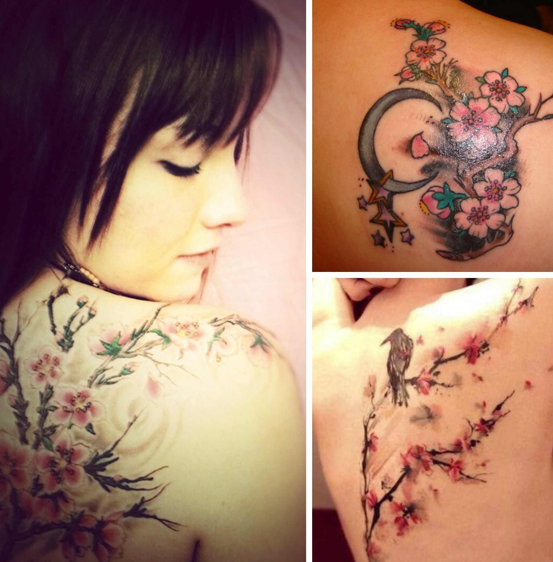 tatouage japonais fleur de cerisier
