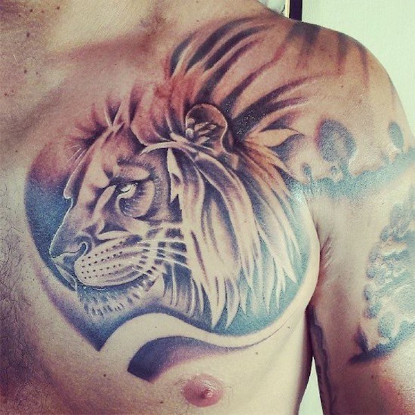 Tatouage lion pectoraux