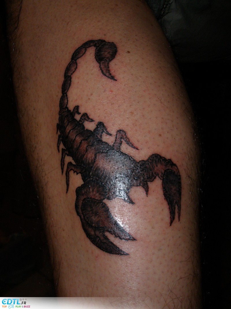 Tatouage mollet homme scorpion