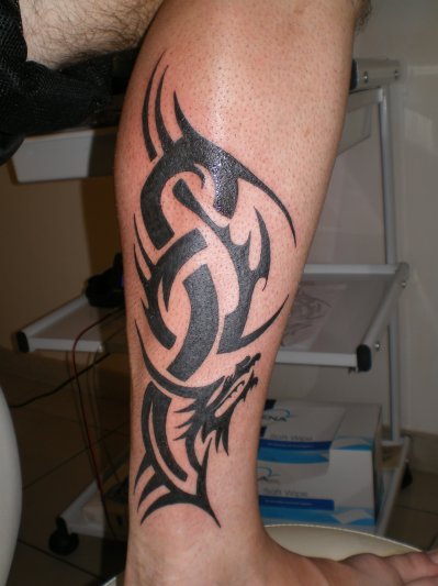 tatouage mollet tribal dragon