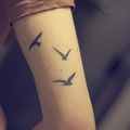 tatouage oiseau bras