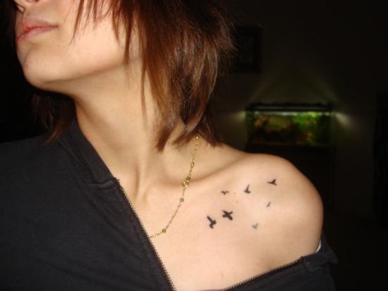 tatouage oiseau clavicule