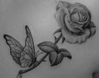 Tatouage oiseau des iles