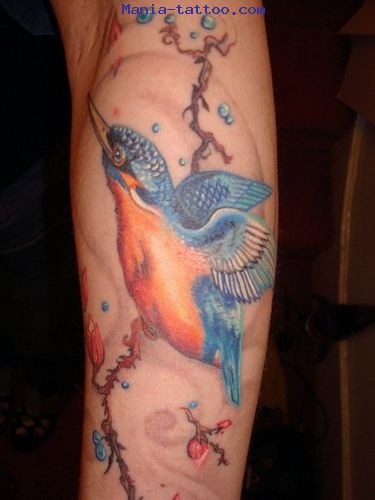 tatouage oiseau des iles