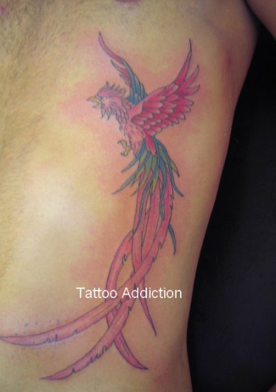 tatouage oiseau du paradis
