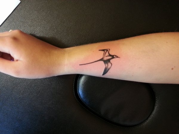 Tatouage oiseau paille en queue