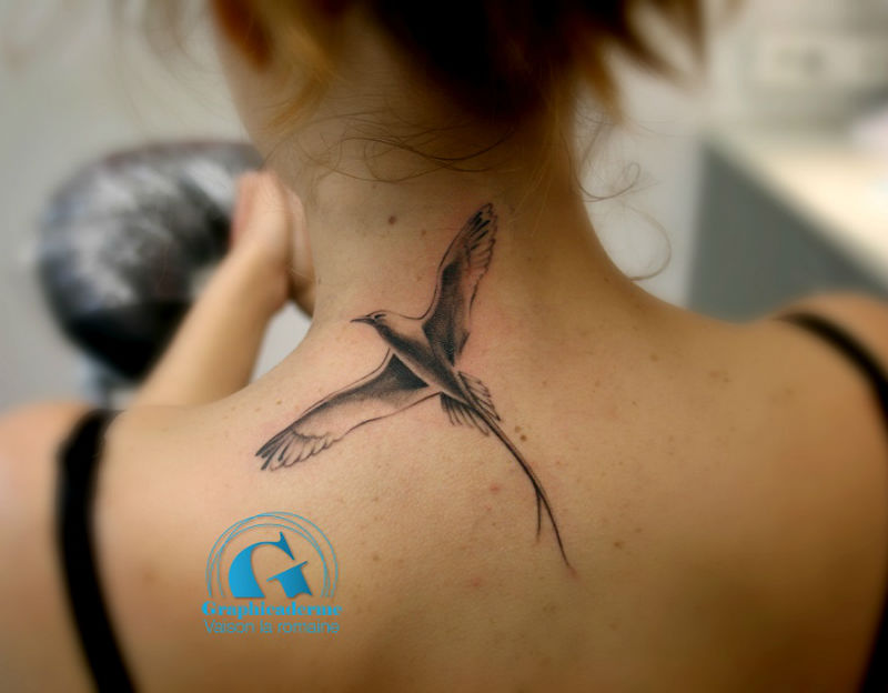 tatouage oiseau paille en queue