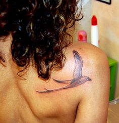 tatouage oiseau paille en queue