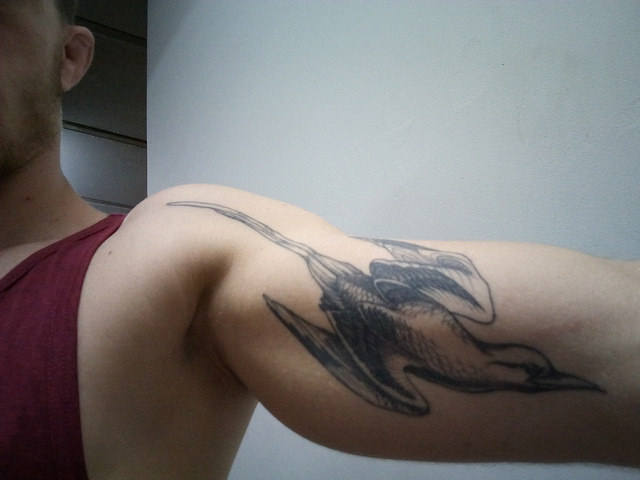 tatouage oiseau paille en queue