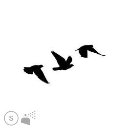 tatouage oiseau vol