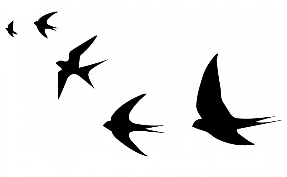 tatouage oiseau vol