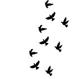 tatouage oiseau vol