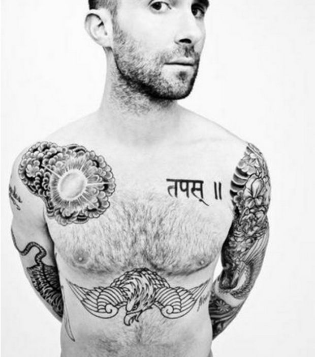 tatouage pectoraux adam levine