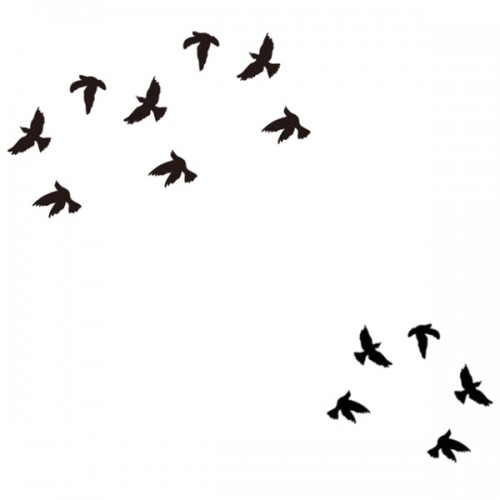 tatouage petit oiseau noir
