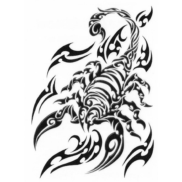 tatouage tribal scorpion