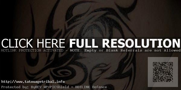 tatouage tribal taureau