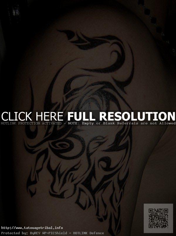 tatouage tribal taureau